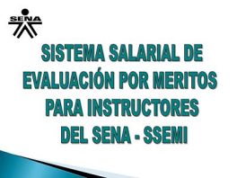 Citación Comité Nacional de SSEMI