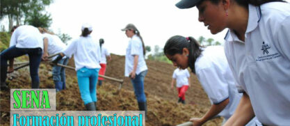 Frente al primer gobierno alternativo de los colombianos