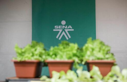 Informe de reunión sindesena y director SNFT Análisis estrategia campesena, Bogota, 26 octubre 2022