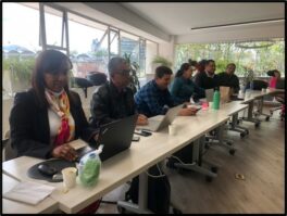 Informe séptimo comité de seguimiento