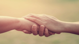 Informe reunión comité nacional de bienestar