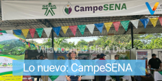 Observaciones de sindesena al proyecto de estrategia de CAMPESENA