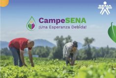 Razones que motivan la no participación de SINDESENA en el lanzamiento de la estrategia CAMPESENA.