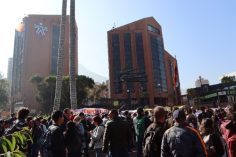 Conformación de grupos internos de trabajo y designación del coordinador, con muchas irregularidades en el SENA