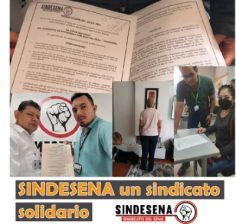 “La solidaridad es la ternura de los pueblos”