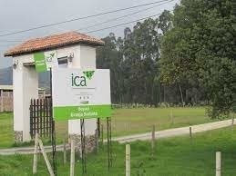 Comodato finca CEDEAGRO
