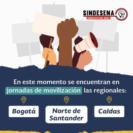 Jornadas de Protesta el día de hoy en Distrito Capital, en Norte de Santander y en Caldas