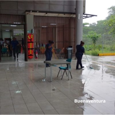 Subdirectiva Valle - A caballo regalado, no se le miran los colmillos