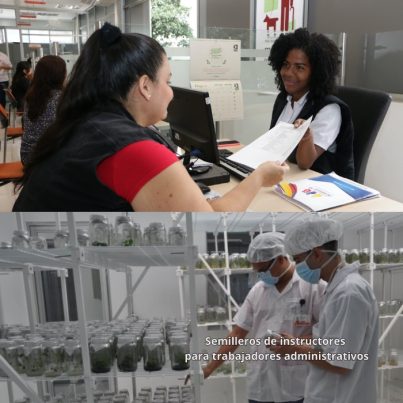 Avance en la implementación del programa de semilleros de instructores para los trabajadores administrativos del SENA