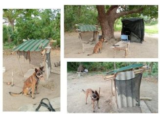 Comida vencida suministran en Gaira a aprendices del Centro de Convivencia
