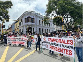 Luchar organizadamente sí paga