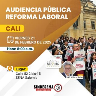 Audiencia pública Valle reforma laboral