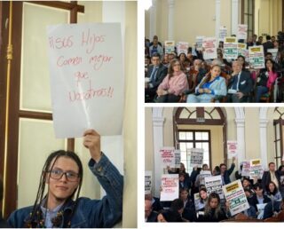 Sin debate audiencia pública convocada por Berenice Bedoya