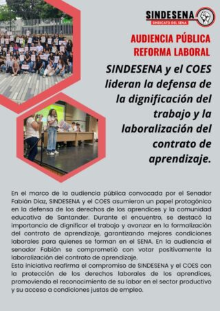 Participación en la audiencia pública Reforma Laboral