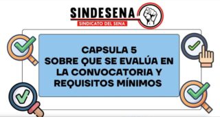 ¿Qué se evalúa en la convocatoria y requisitos mínimos?