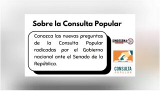 Sobre la Consulta Popular