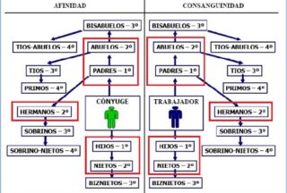 Directivos y vínculos familiares lo que la Ley impide en materia de contratación