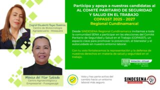 ¡Conoce y apoya a nuestras candidatas al COPASST Regional!
