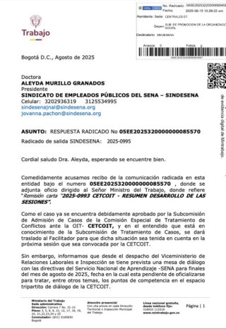 Respuesta Ministerio sobre sesiones CETCOIT