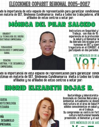 Elecciones COPASST regional 2025 - 2027