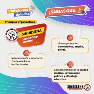 Principios de Plataforma de Lucha