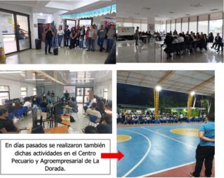 Actividades pedagógicas previas al 07 de octubre