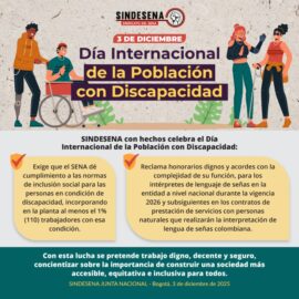 Día Internacional de la Población en Situación de Discapacidad