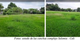 Sindesena denuncia abandono y deterioro canchas de fútbol Solomía