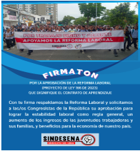 En lucha por la dignidad