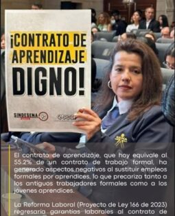 Por un contrato de aprendizaje digno