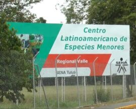 La rendición de cuentas del CLEM demuestra que las cuentas no son claras