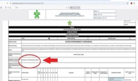 Denuncias por situación actual proceso emprendimiento