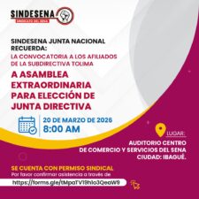 SINDESENA convoca a Asamblea Extraordinaria de la Subdirectiva Tolima para elección de Junta Directiva