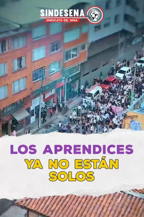 Los aprendices no están solos